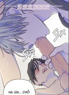 Bao Nuôi Tiền Bối