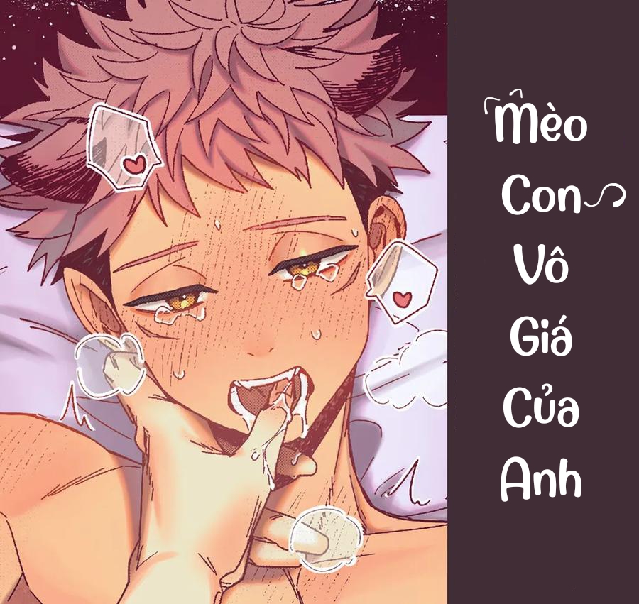 Mèo Con Vô Giá Của Anh