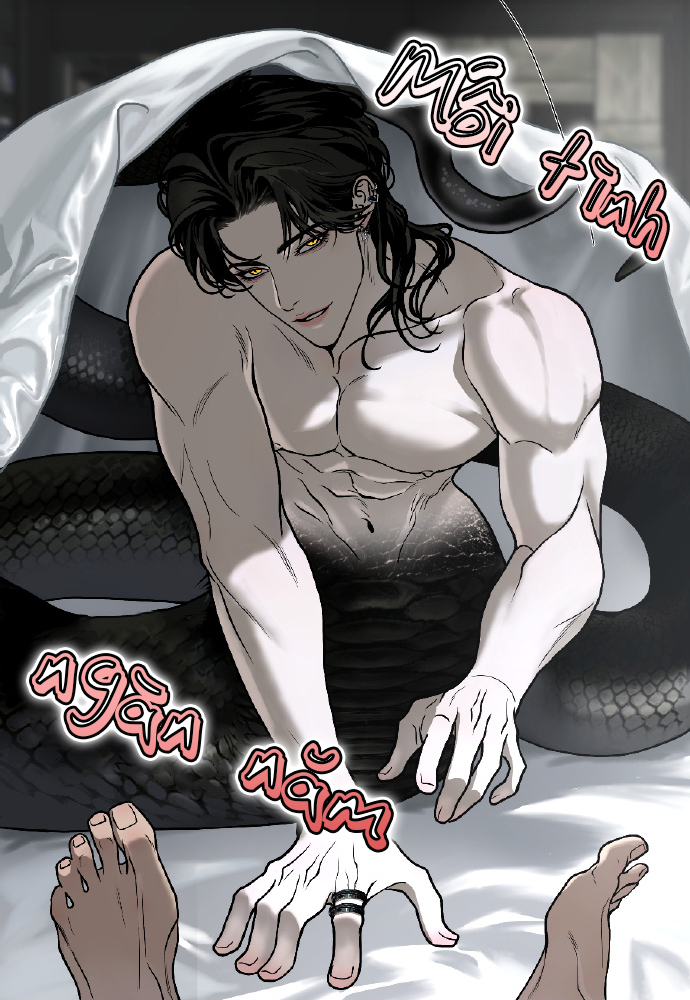 Mối Tình Ngàn Năm