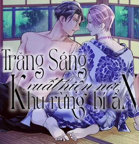 Trăng Sáng Xuất Hiện Nơi Khu Rừng Huyền Bí