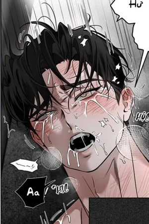 Tuyển Tập Manhwa Ngắn Nhà Mèo Méo Meo Mèo Meo